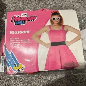 Adult Blossom Costume